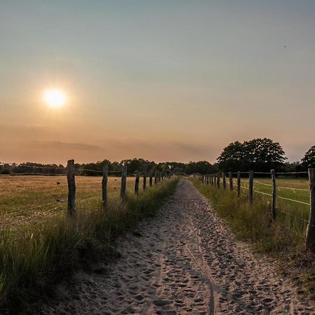 Ostsee Domizil Graal-Mueritz Ngoại thất bức ảnh